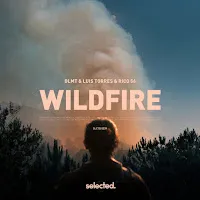 Dlmt — Wildfire (Extended) Ft Luis Torres & Rico 56 — обложка